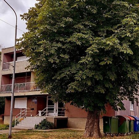 Tp Apartman 1 Krizevci Luaran gambar